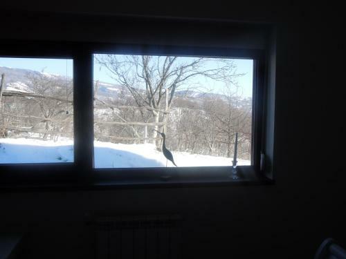 Hostal Cottage Poe