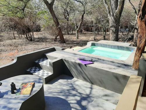 African Bush Escape
