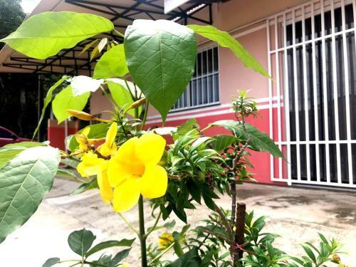 Apartamento Aeroporto House 2