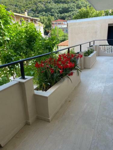 Hostal Libera Private Rooms