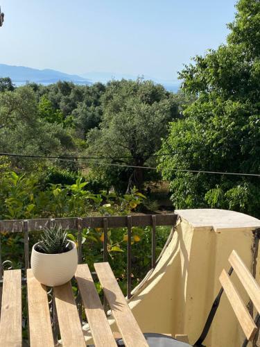 Hostal Libera Private Rooms