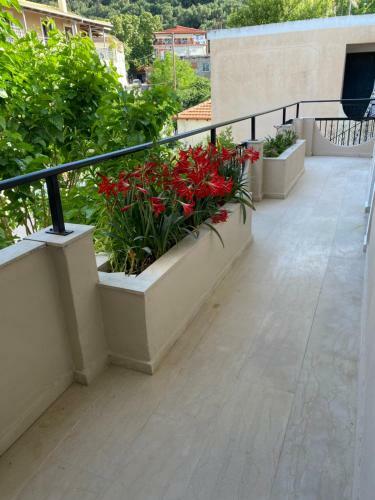 Hostal Libera Private Rooms