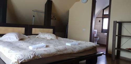 Hostal Pensiunea Aquavilla
