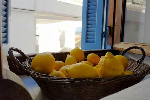 Apartamento Theseus