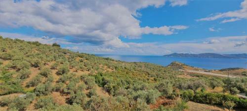 Apartamento Astradeni