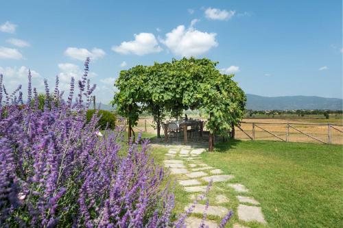 Villa Ronzano