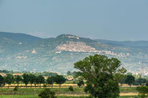 Villa Ronzano