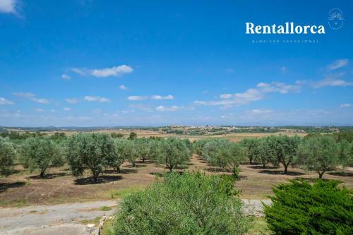 Finca S'olivar De Son Reixach - Rentallorca