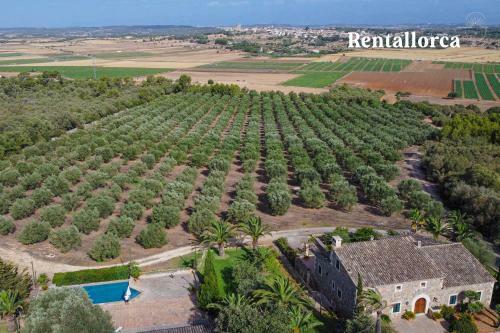 Finca S'olivar De Son Reixach - Rentallorca