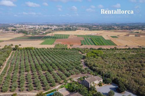 Finca S'olivar De Son Reixach - Rentallorca