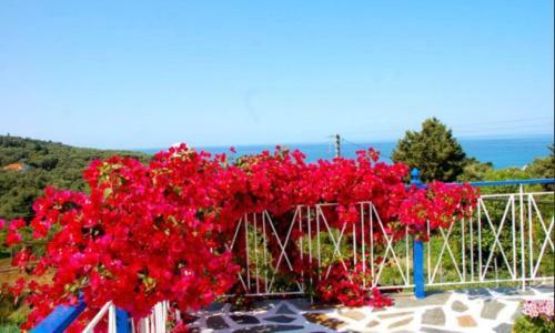 Sea View Villa Paramonas