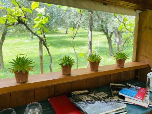 Campolivo Ecolodges All House