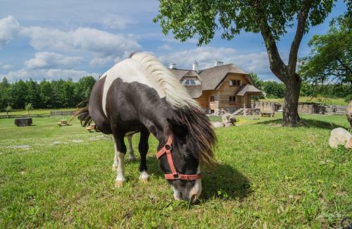 Bed & Breakfast Siedlisko Wigry