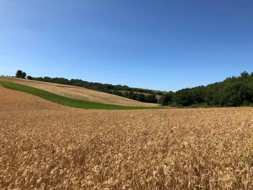 Bed & Breakfast Chambre H�tes Les Garrigues Cucuron