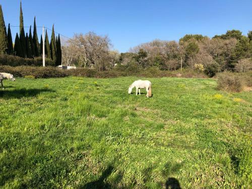 Bed & Breakfast Chambre H�tes Les Garrigues Cucuron