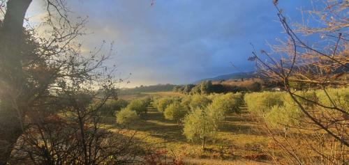 Bed & Breakfast Chambre H�tes Les Garrigues Cucuron