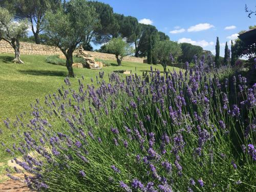 Villa Dell'angelo, Peace & Relax You Deserve In Uncontaminated Nature
