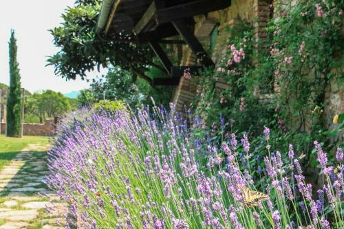 Villa Dell'angelo, Peace & Relax You Deserve In Uncontaminated Nature
