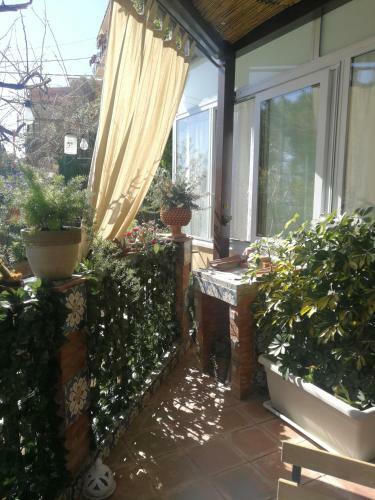 Casa Donna Fiorella Tipica Siciliana