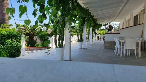 Apartamento Appartamenti Santa Venere "parcheggio Privato"
