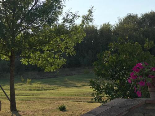 Agroturismo Agriturismo Casallario