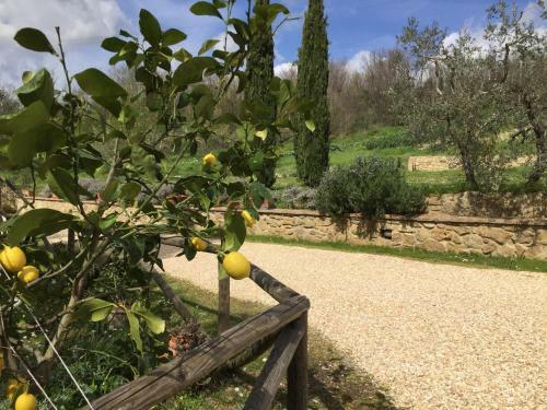 Agroturismo Agriturismo Casallario