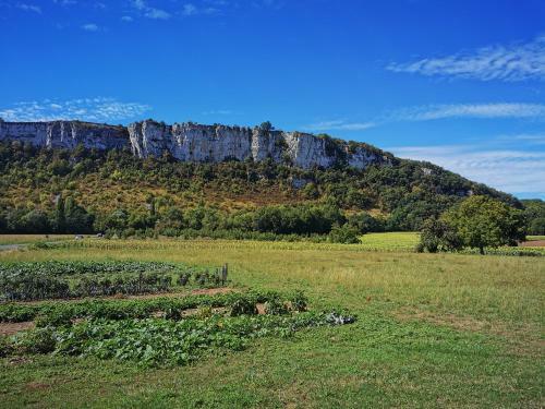 La M�di�vale