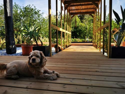 Bed & Breakfast Maison Balaguera