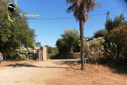 Apartamento Petite Maison Ind�pendante Vue Mer 5 Min Plage