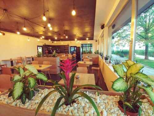 Hostal Promenade