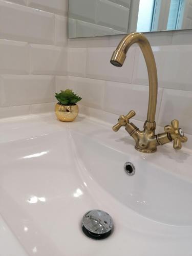 Apartamento Piso Deluxe En El Centro