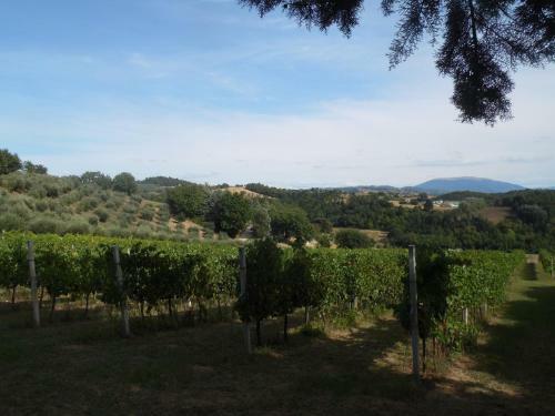 Apartamento Podere Caldaruccio La Pineta - Torretta