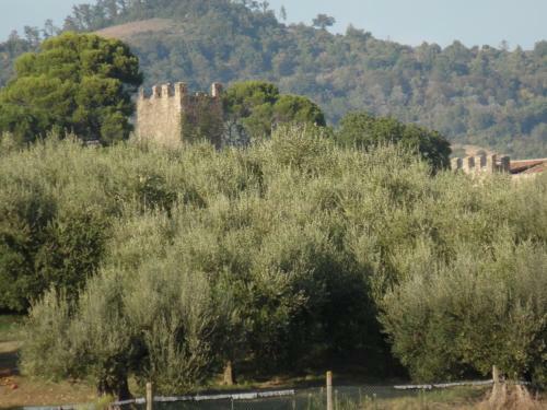 Apartamento Podere Caldaruccio La Pineta - Torretta