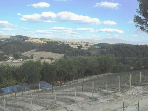 Apartamento Podere Caldaruccio La Pineta - Torretta
