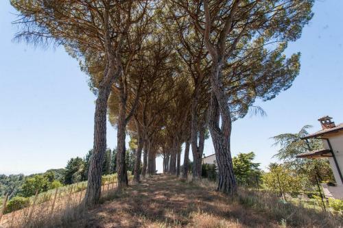 Apartamento Podere Caldaruccio La Pineta - Torretta