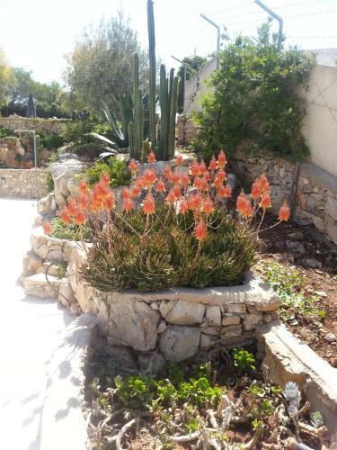 Villa C� Del Mar Loft