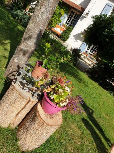 Bed & Breakfast La Maison Dans La Brie
