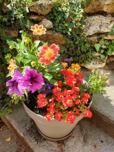Bed & Breakfast La Maison Dans La Brie