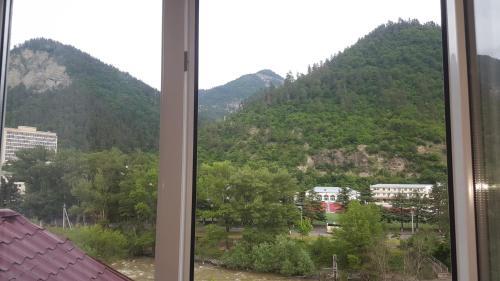 Karlsson Borjomi Apartment.