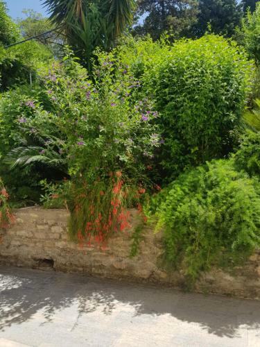 Sobe I Apartmani Djurovic