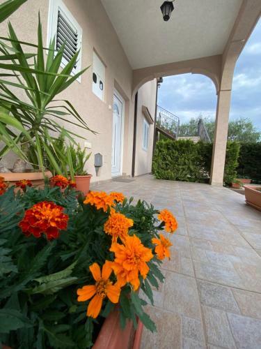 Momentera Apartments