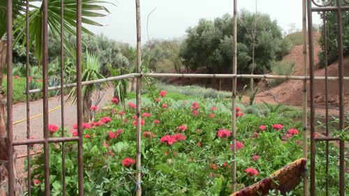 Hotel Ecolodge Espace Tamount