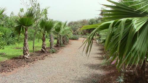Hotel Ecolodge Espace Tamount