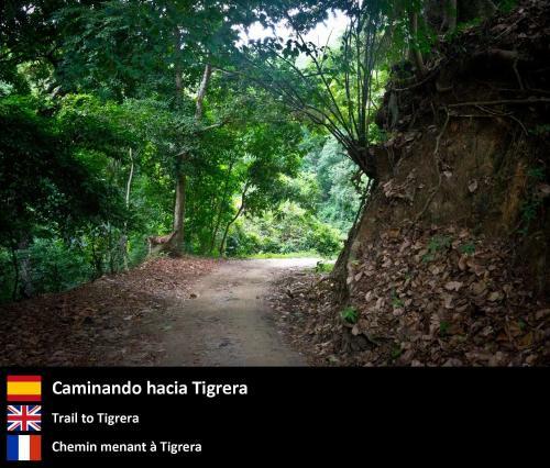 Domo 2 En La Selva A 3 Km De Minca