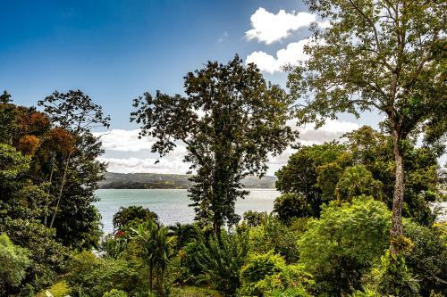 Villa Coraz�n - Private Beach At Lake Arenal