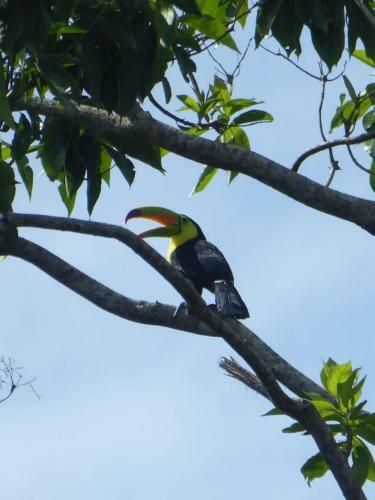 Villa Coraz�n - Private Beach At Lake Arenal