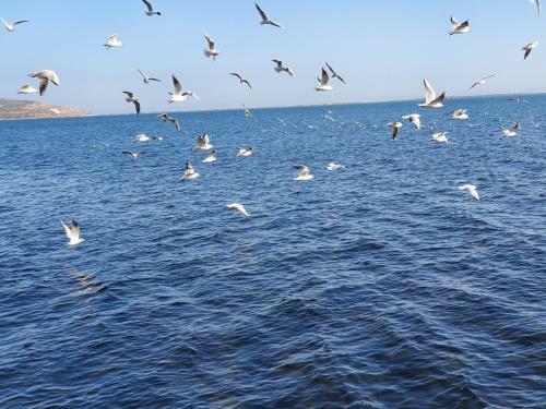 Apartment Ayoub -families Only-
