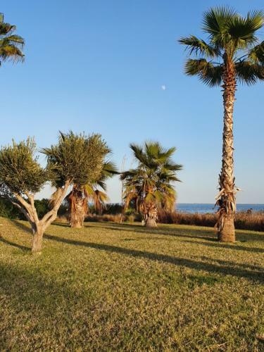Apartment Ayoub -families Only-
