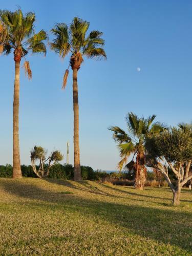 Apartment Ayoub -families Only-