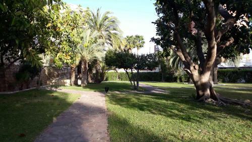 Apartamento Torre San Sebastian